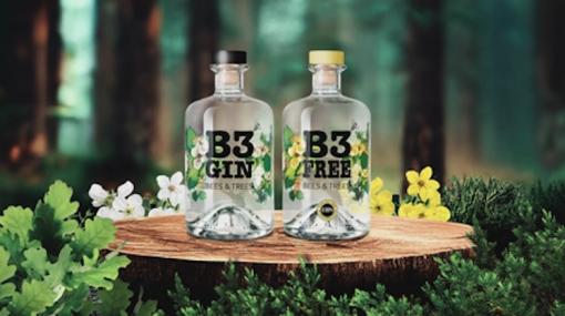 B3 GIN © Esterházy