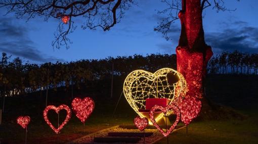 Adventszeit im Lichtergarten der Domäne Lilienberg © Domäne Lilienberg