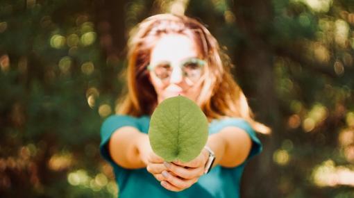 Sustainable Jobs © unsplash.com/Mert Guller