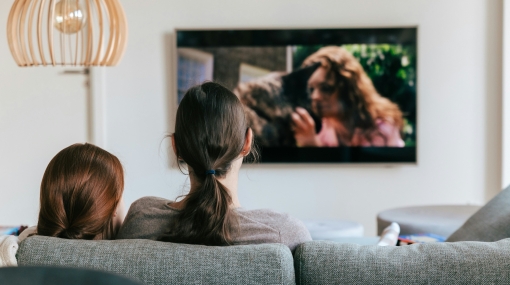 Wohnzimmer mit TV © unsplash.com/Kevin Woblick