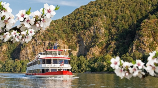 DDSG Blue Danube: Marillenblüte in der Wachau © Christian Wockinger