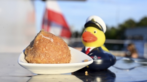 Admiral Duck liebt Eismarillenknödel an Bord der DDSG Blue Danube © Christian Jobst