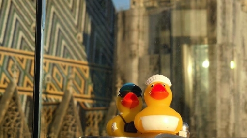 Hilton Ducks at DO&CO Haas Haus © Alexander Khaelss-Khaelssberg