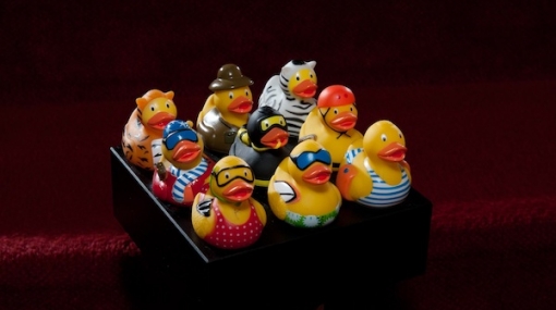 Hilton Ducks © Oreste Schaller