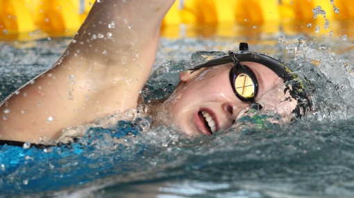 Österreichischer Schwimmverband Imagebild © Österreichischer Schwimmverband