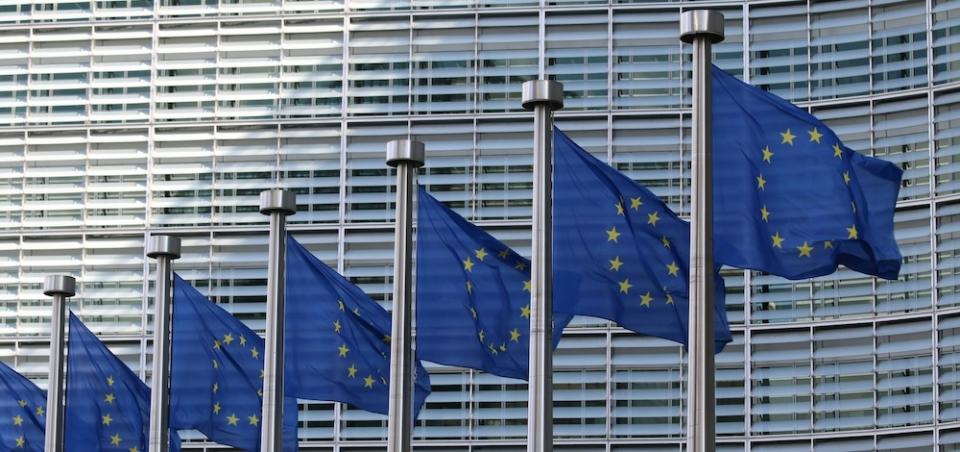 European Flaggs © unsplash.com/Guillaume Périgois European Flaggs © unsplash.com/Guillaume Périgois