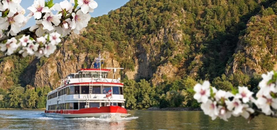 DDSG Blue Danube: Marillenblüte in der Wachau © Christian Wockinger