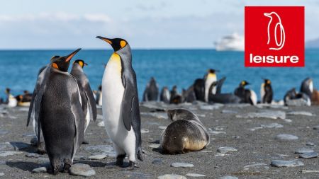 Header Facebook 2023 Penguin © unsplash.com